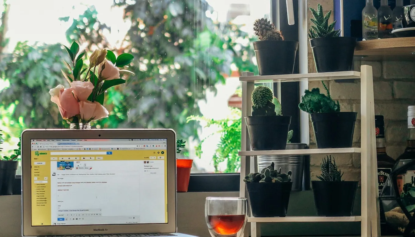 Laptop, computer and browser
